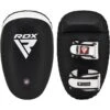 RDX SPORTS RDX T3 Curved Gel Padded Muay Thai Kick Pads