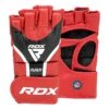 RDX SPORTS RDX GRAPPLING GLOVES AURA PLUS T-17