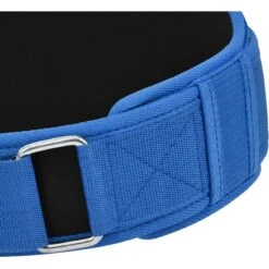 RDX SPORTS RDX RX5 Weightlifting Belt 29 RDX SPORTS RDX RX5 Weightlifting Belt -Rdxsports Shop rx5 weightlifting belt blue 7