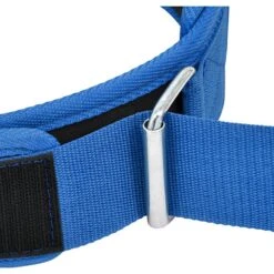 RDX SPORTS RDX RX5 Weightlifting Belt 30 RDX SPORTS RDX RX5 Weightlifting Belt -Rdxsports Shop rx5 weightlifting belt blue 8