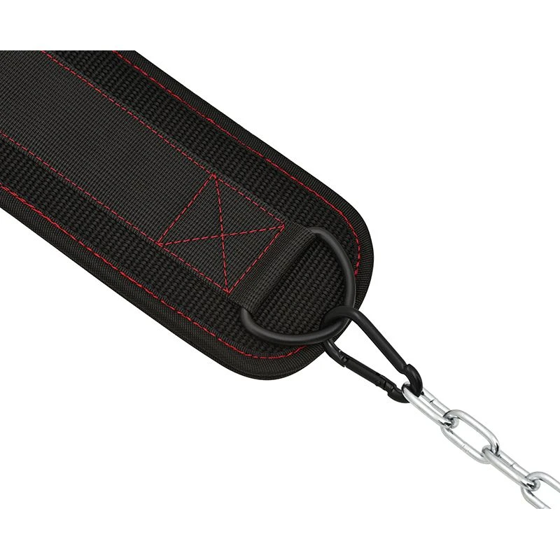 RDX SPORTS RDX T7 Weight Training Dipping Belt With Chain 5 RDX SPORTS RDX T7 Weight Training Dipping Belt With Chain - Image 5